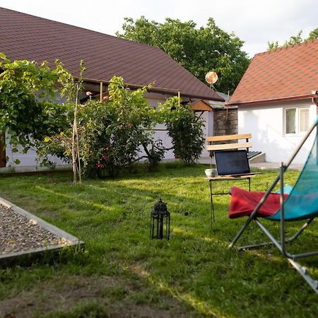 Nomad Sud Studios In Town Center Cahul Exteriör bild